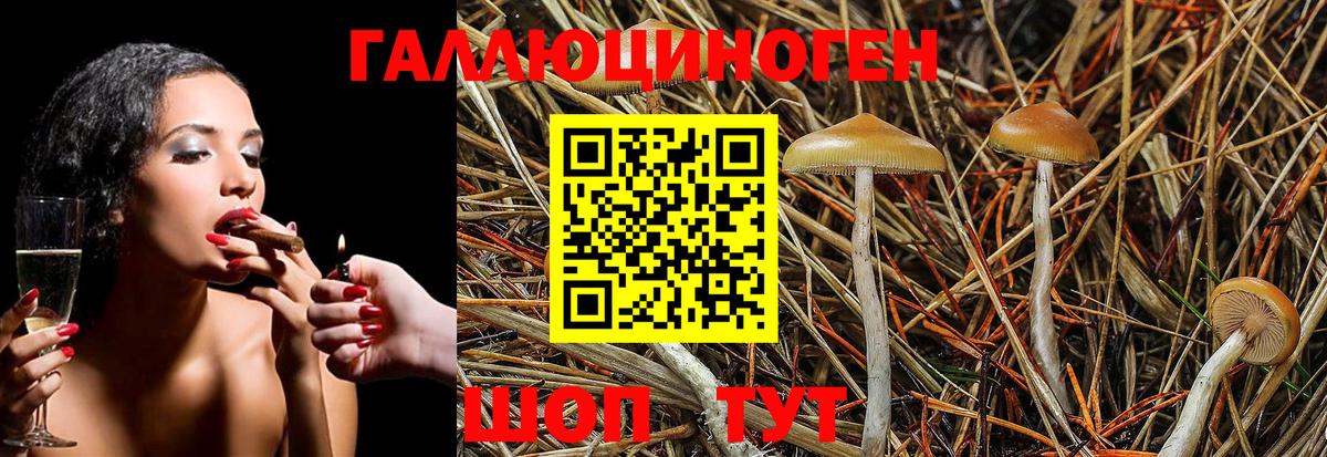 Псилоцибиновые грибы мухоморы  Вход с VPN  Псилоцибиновые грибы Psilocybe  Ростов Великий 